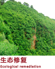 生态修复