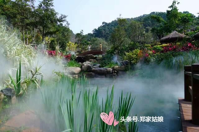 今日头条：你若盛开，清风自来