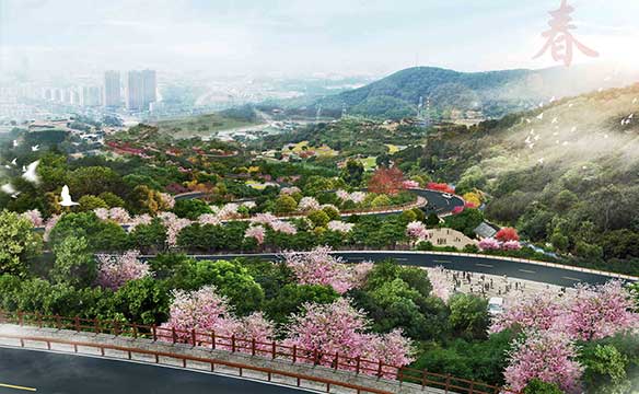 厦门气象路沿线景观设计投标方案