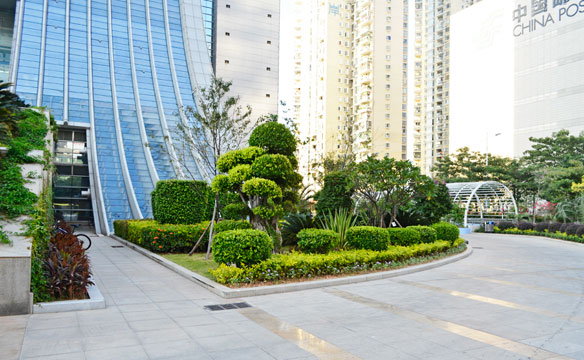 厦门海关大厦景观提升