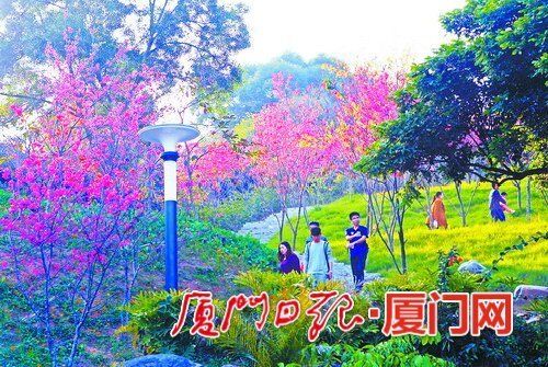 厦门日报：厦门海沧三大公园 颜值爆表 人气爆棚