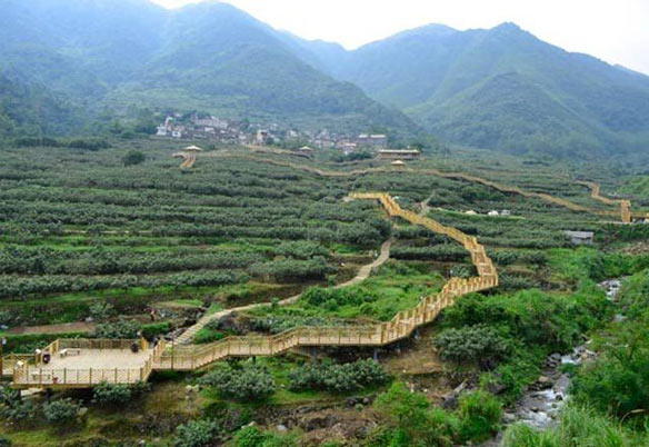 媒体报道：漳州十大美丽乡村——云霄棪树村