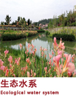 生态水系