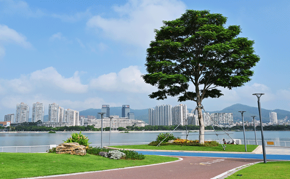 厦门海沧湖东岸绿化提升