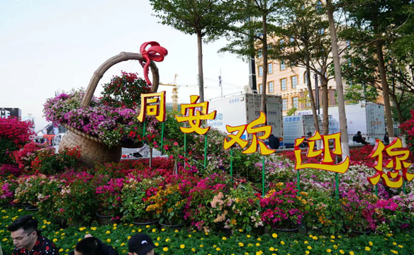 厦门同安超级音乐嘉年华景观