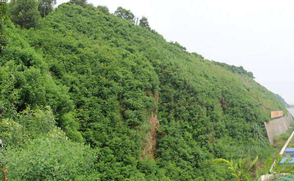 厦门海沧厦船重工高边坡
