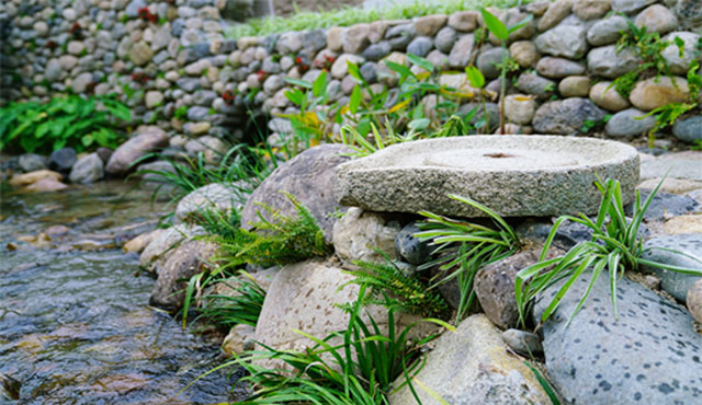 乡村景观